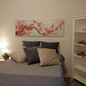 Tiny Room